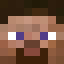 Default Minecraft Skin